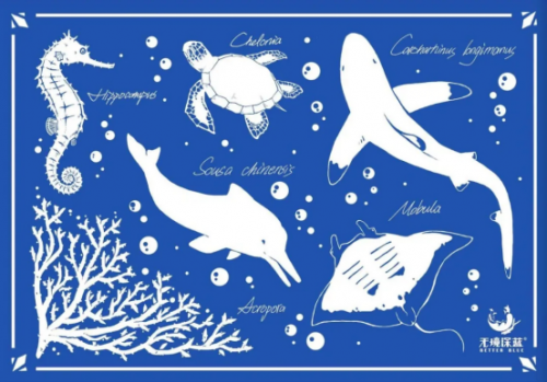 乐体潜水携手无境深蓝举办《珊瑚礁里的生命》预热展！